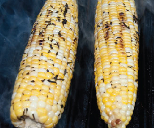 Two grilled ears or corn on a standup propane grill.