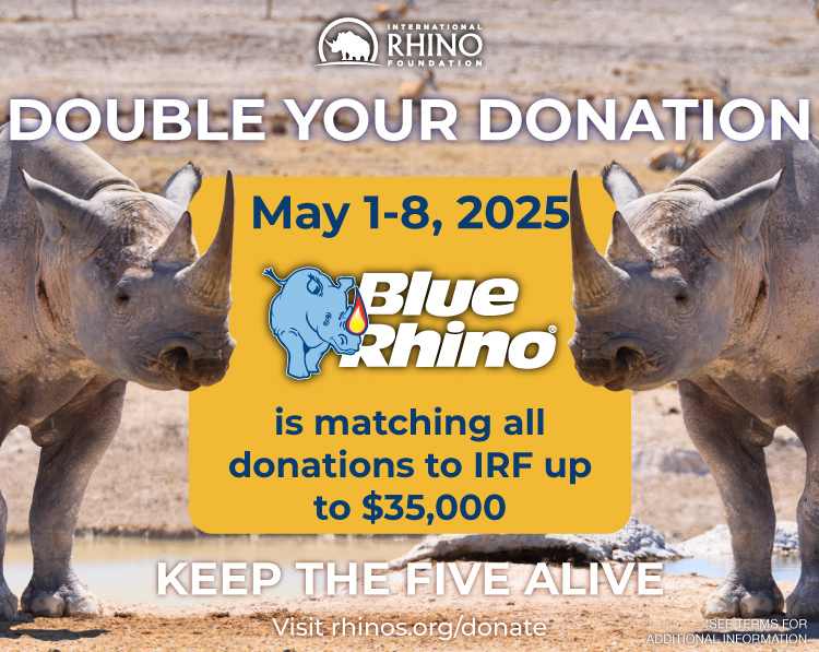 Two rhinos on a blue background with the donation information in the middle.