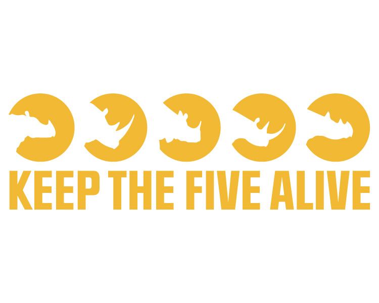 Keep the Five Alive logo.