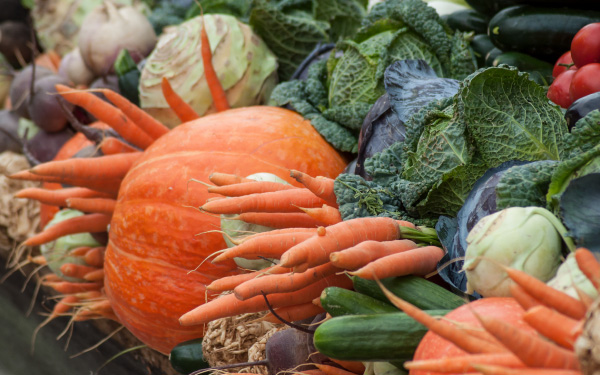Pumpkin, carrots, cucumbers, and other vegetables on a table.