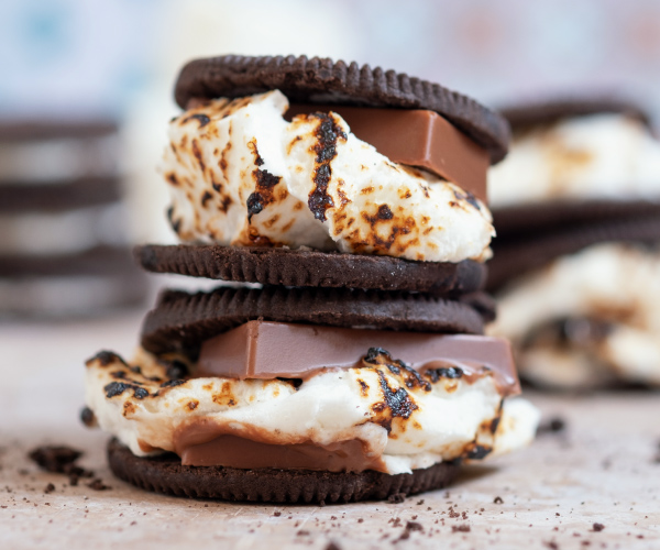 S'mores with Chocolate Cookies Recipe | Blue Rhino