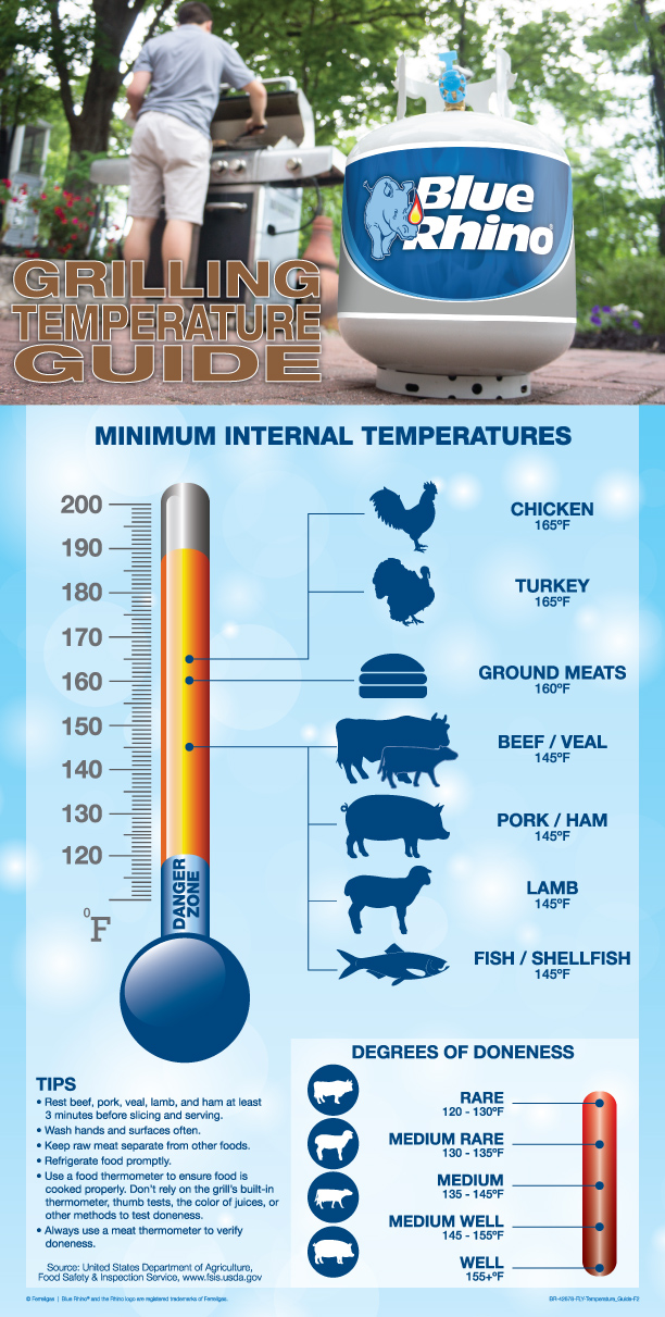 Meat Temperature Guide for Grilling (Infographic)