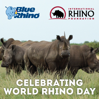 Celebrate World Rhino Day
