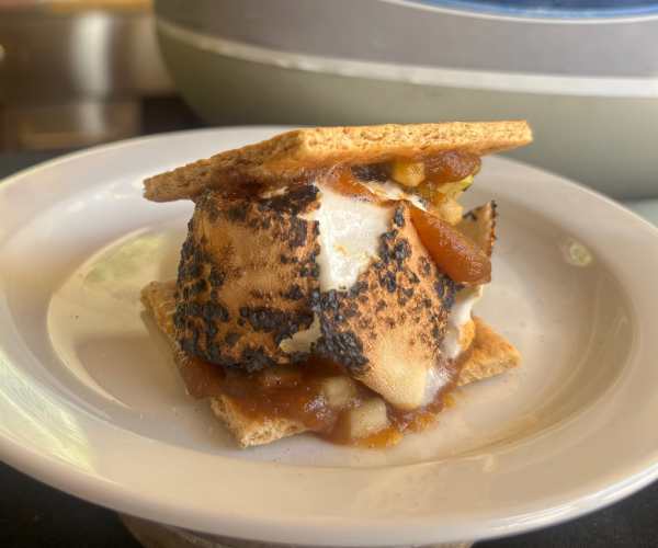 Apple Pie S'mores Recipe | Blue Rhino