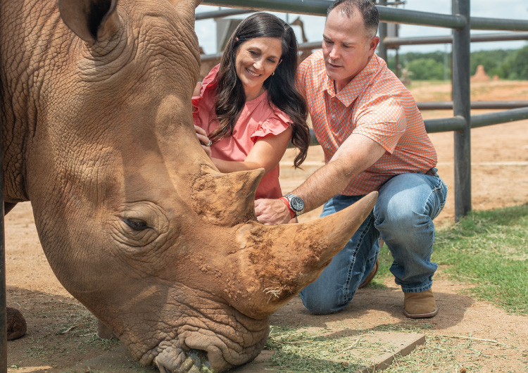 A man and woman kneeling down and petting the horn of a white rhino.