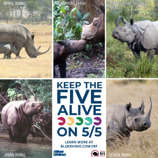 Pictures of the five rhino species, with the text Keep the Five Alive on 5/5.