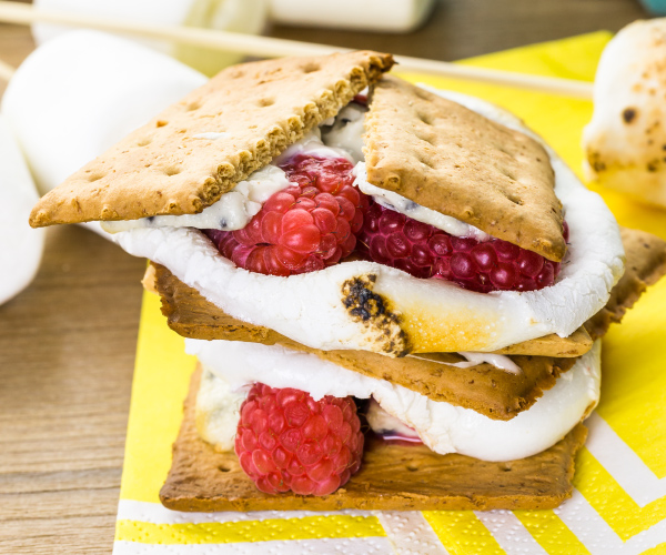 White Chocolate Raspberry S'mores Recipe | Blue Rhino