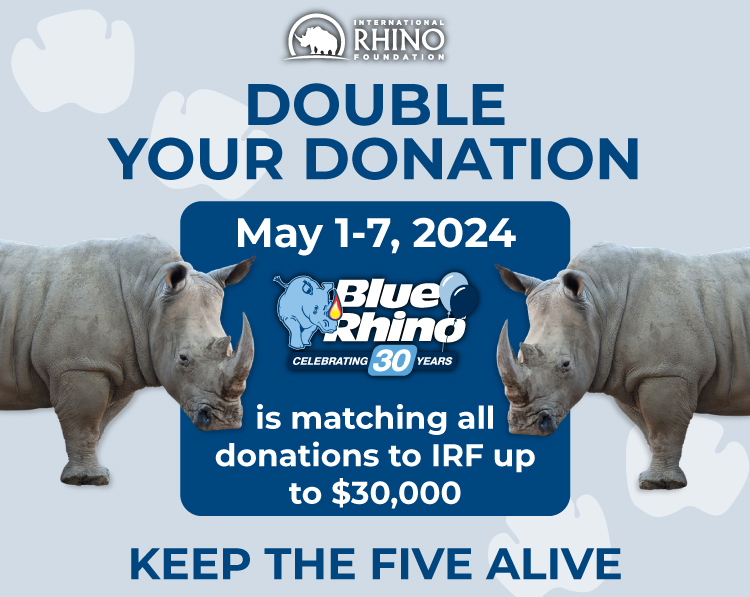 Two rhinos on a blue background with the donation information in the middle.